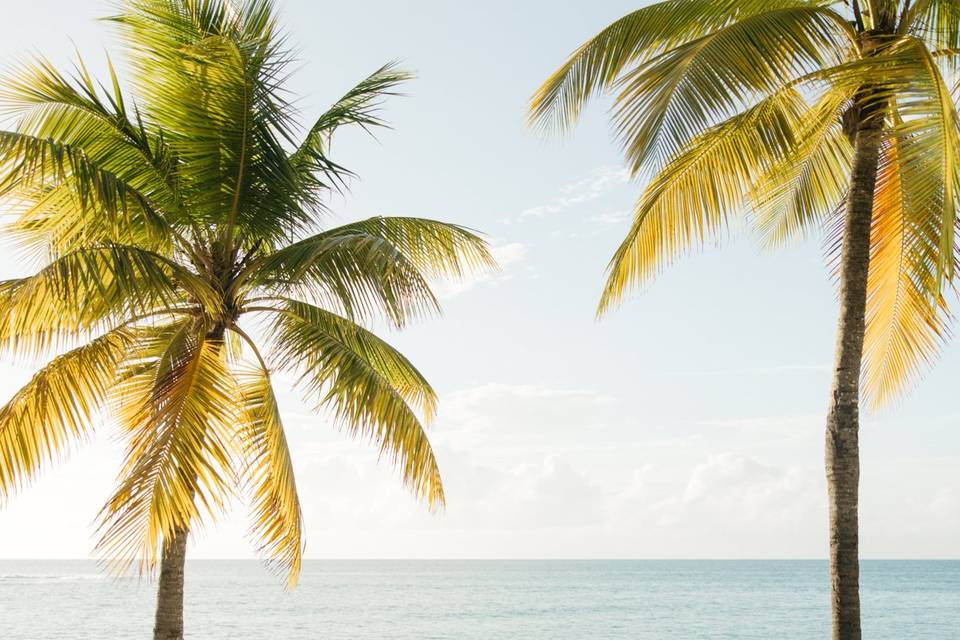 Oceanfront Wedding St. Croix