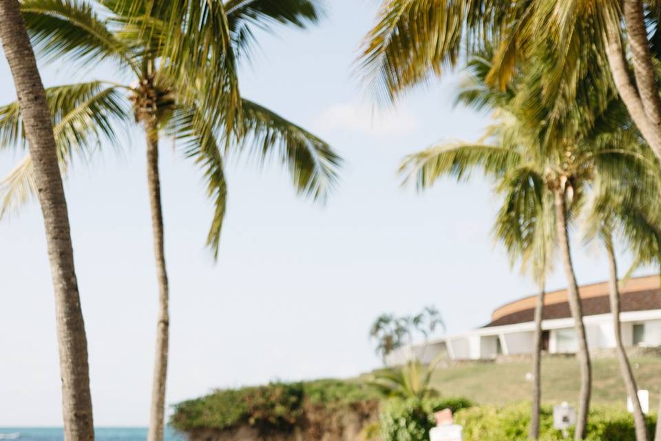 Beach Wedding Chairs