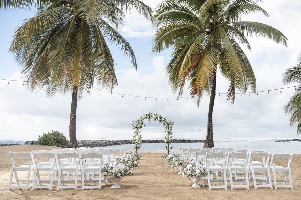 Beach Wedding