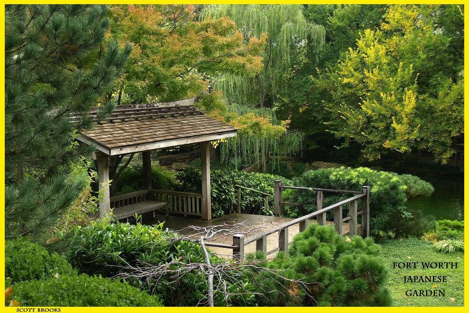 Hill Arbor