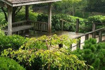 Hill Arbor