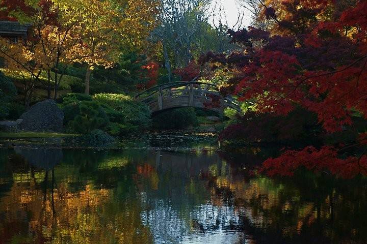 Fort Worth Botanic Garden