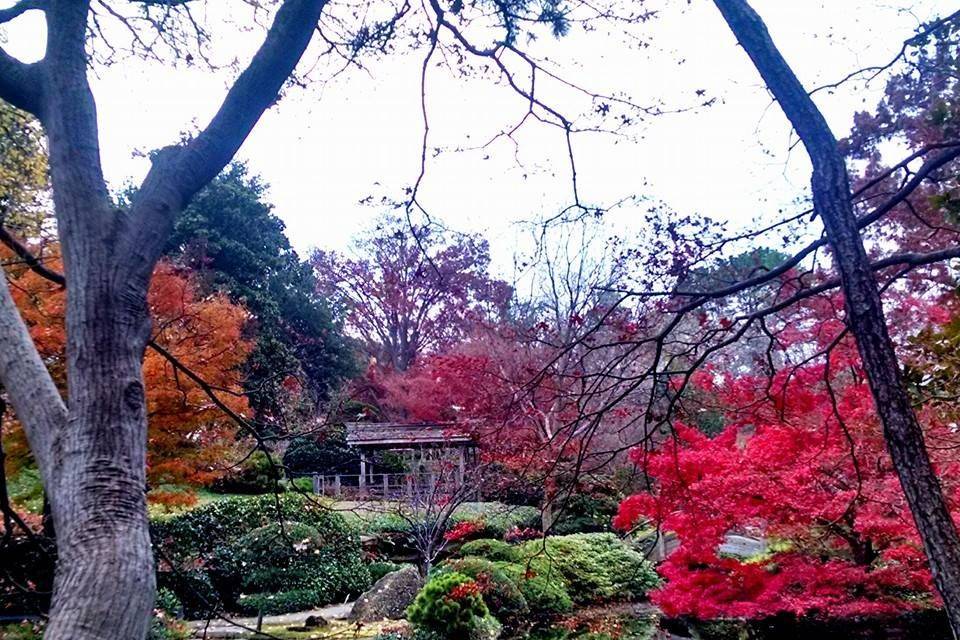 Fort Worth Botanic Garden