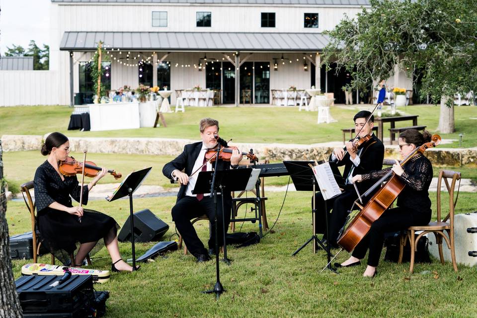 String Quartet