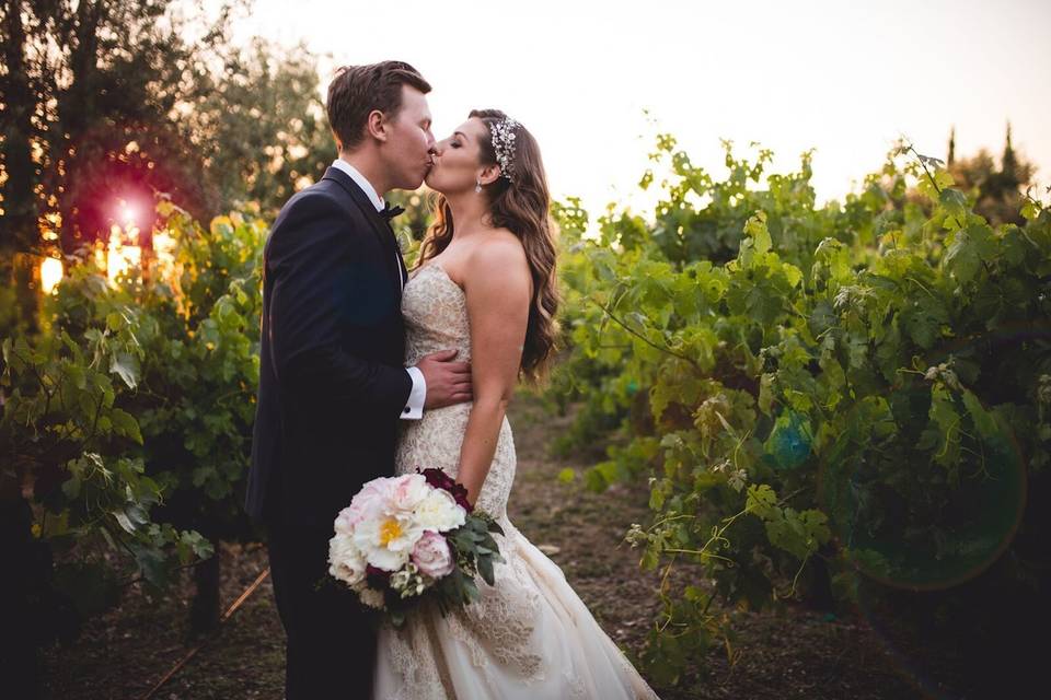 Nicolette Bardos Photography