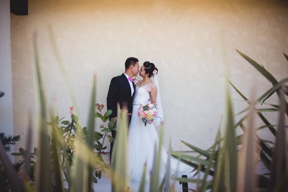Nicolette Bardos Photography