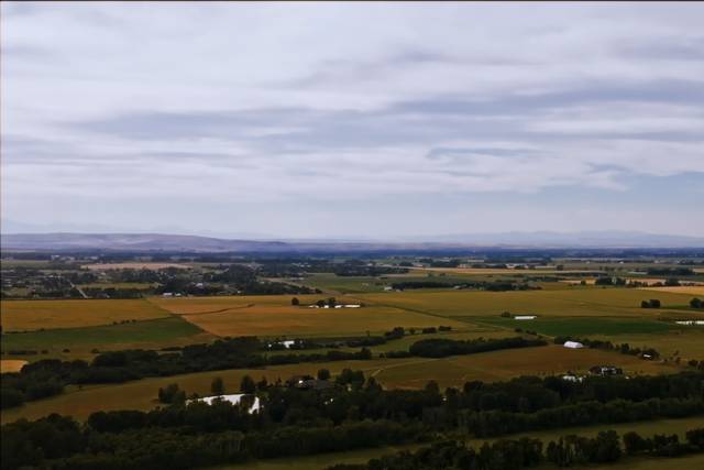 Drone work for 24 weddings