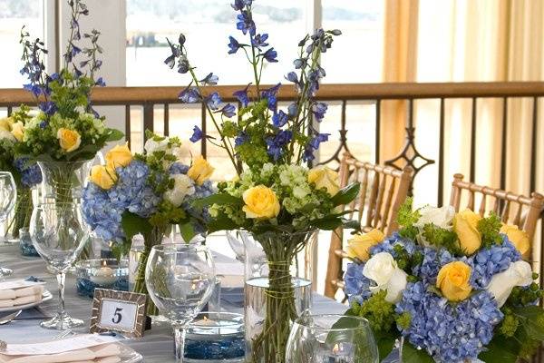 DollarTree.com Wedding Color Scheme Idea: Cool Blue, Lemon Yellow, Silver