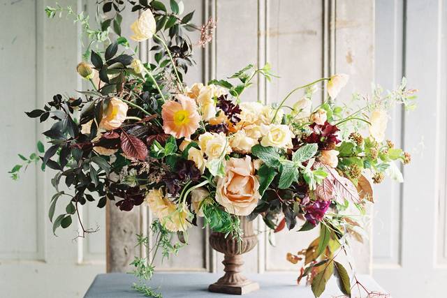 Photo by Heather Payne