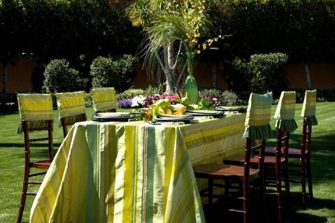 Lemon Charmeuse Stripe in a great outdoor Palm Springs Setting