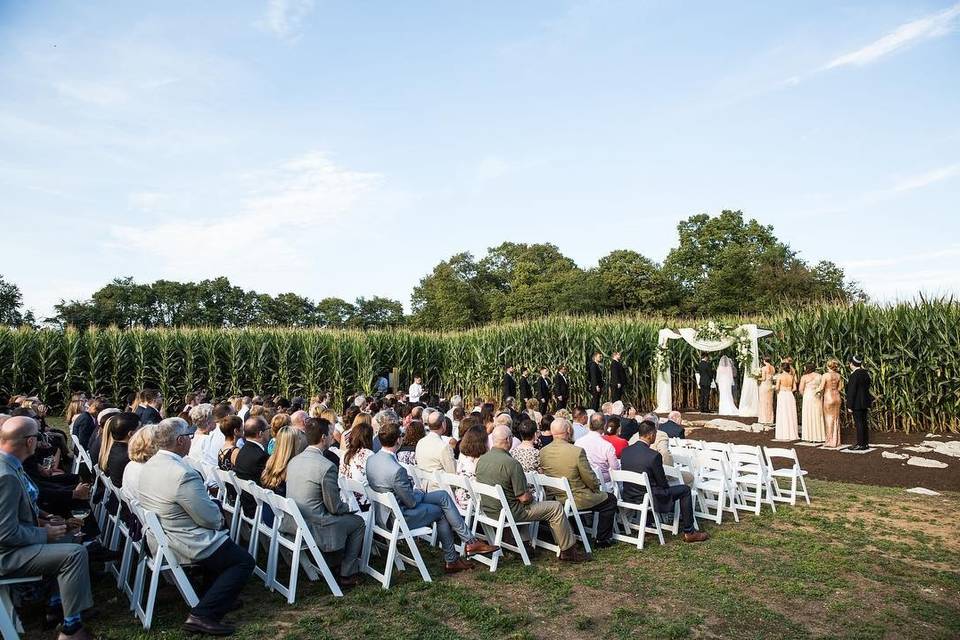 Beach Wedding