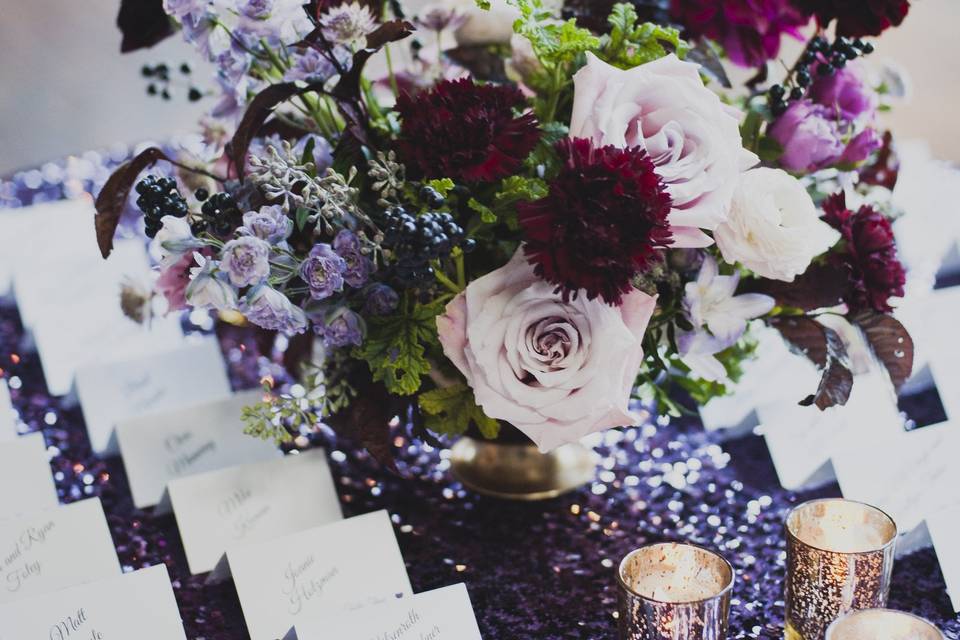 Kelly McVeigh Events