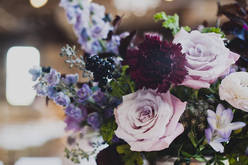 Kelly McVeigh Events