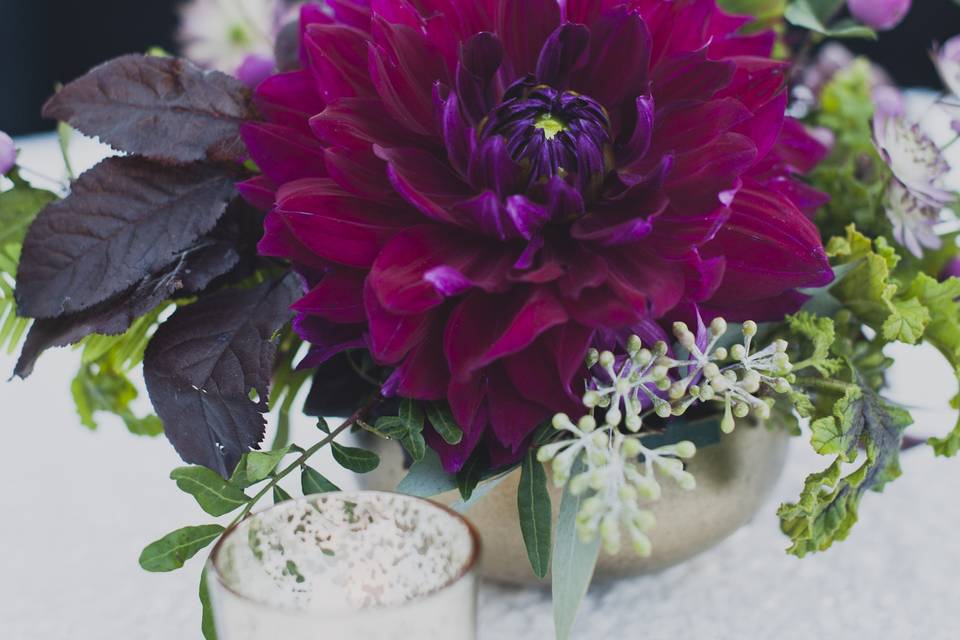 Kelly McVeigh Events