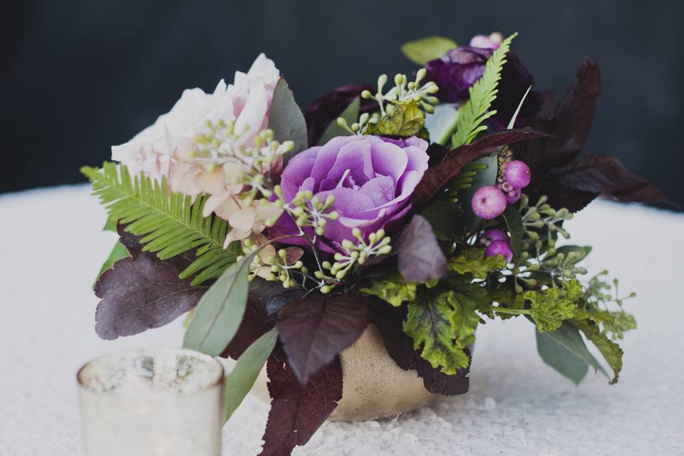 Kelly McVeigh Events