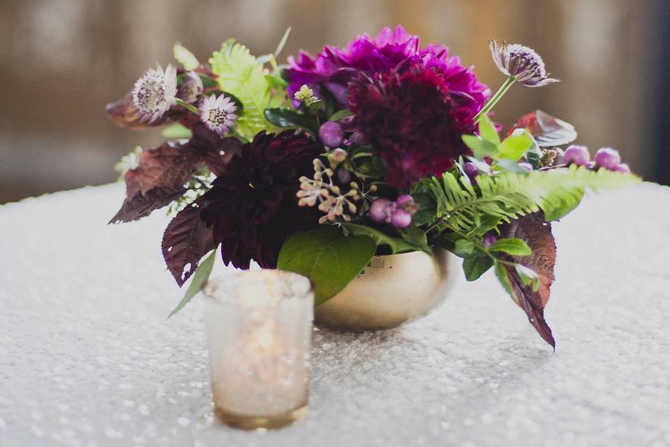 Kelly McVeigh Events