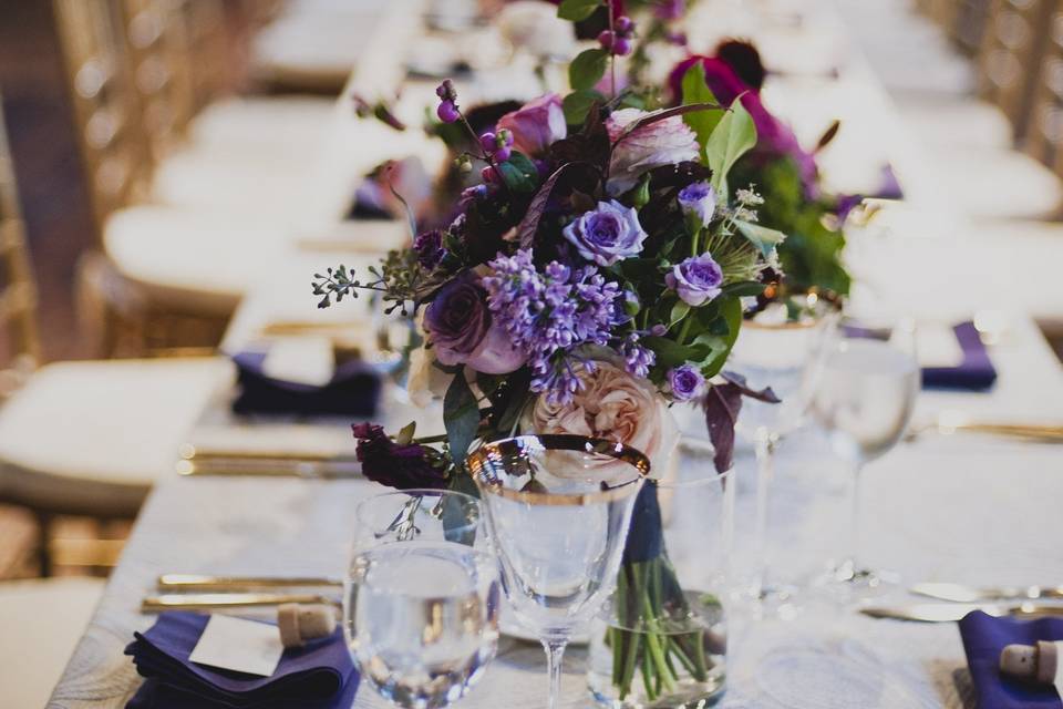 Kelly McVeigh Events
