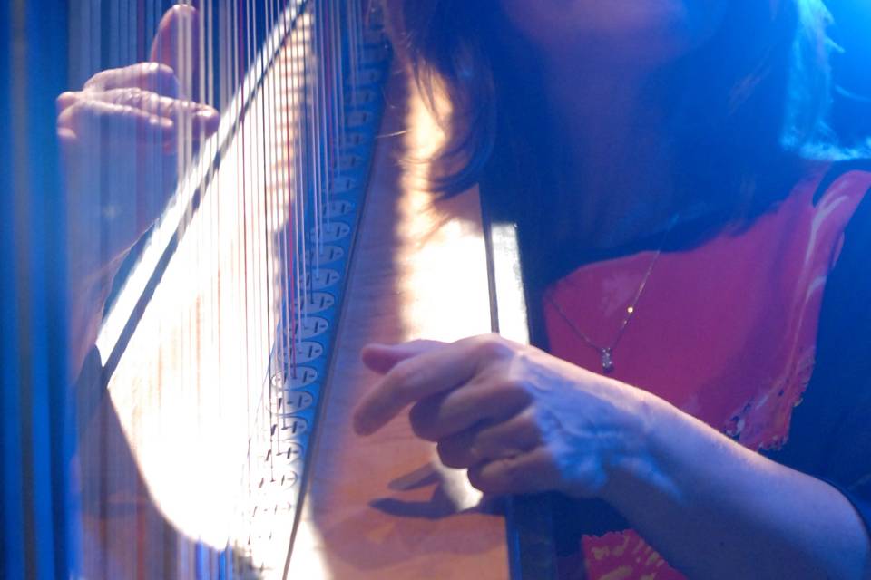 Cindy Horstman in Concert