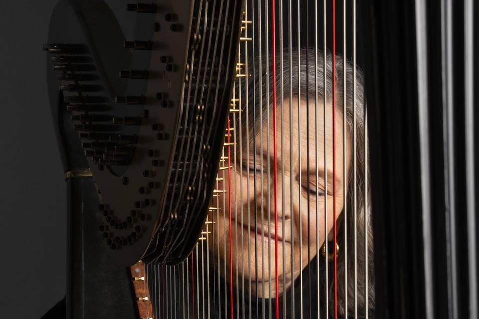 Cindy Horstman, Harpist