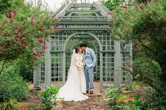 Butterfly Garden