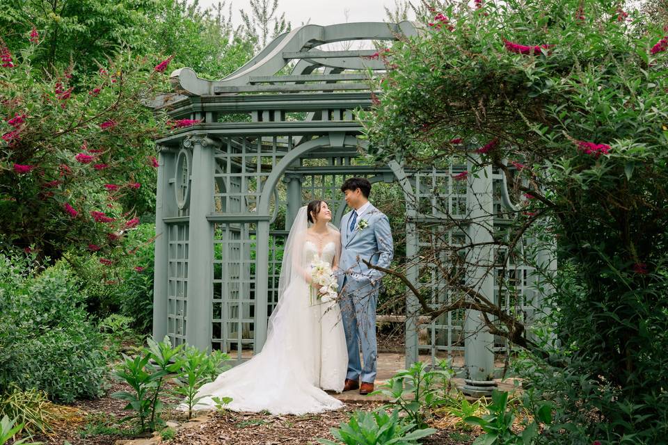 Butterfly Garden
