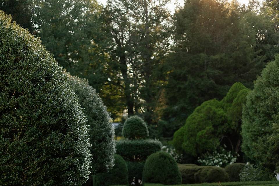 Formal Gardens