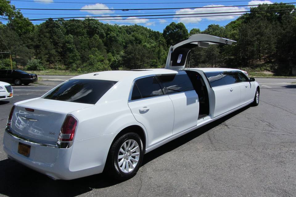 The limo door