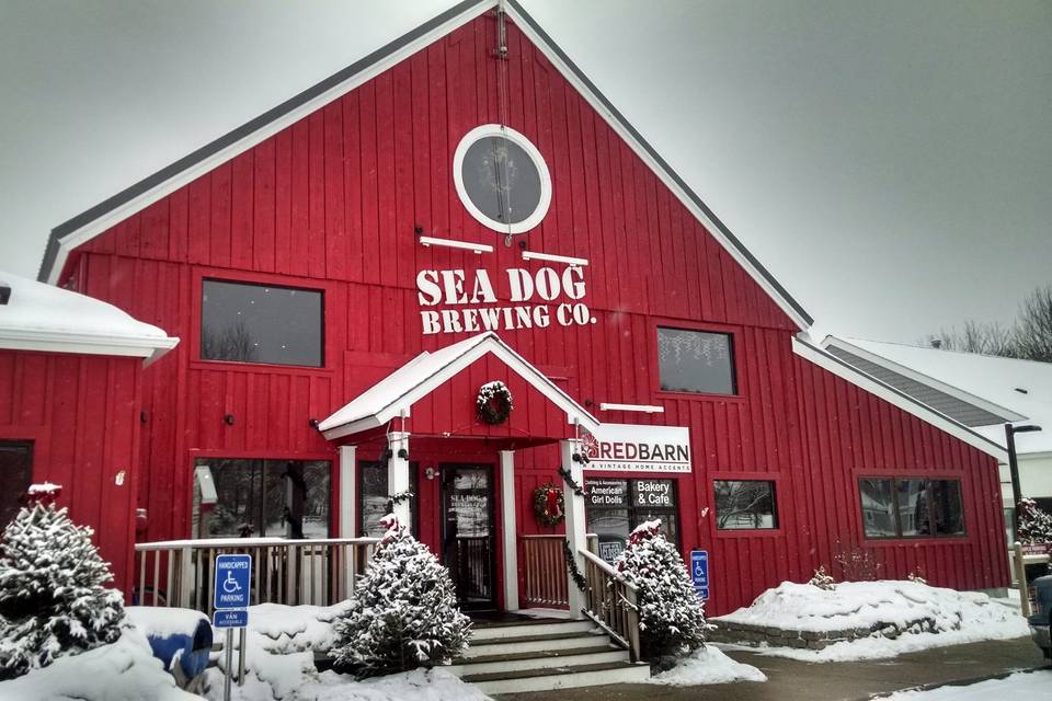 Sea Dog NoCo Winter