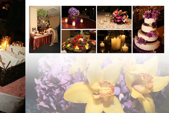 Karen Campbell Photography