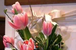 Karen Campbell Photography