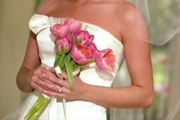 Karen Campbell Photography