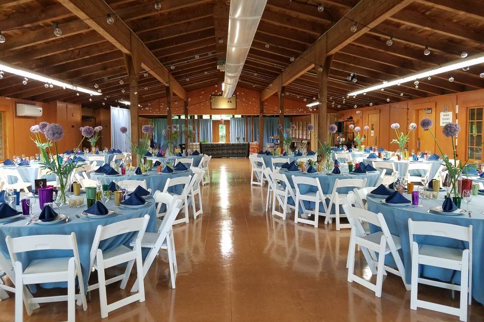 Hall decked out in blue