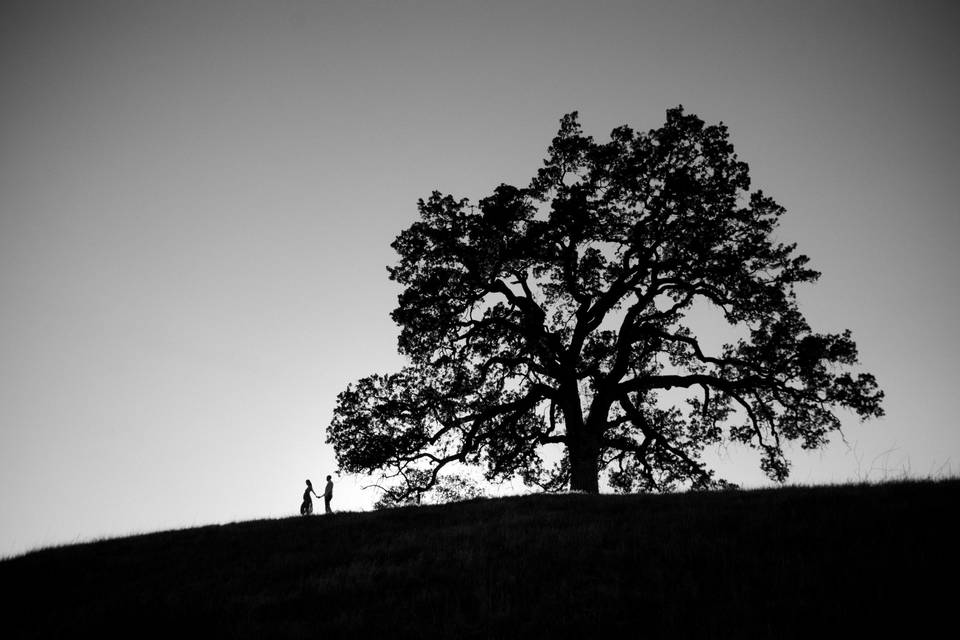 Taylor Gage Photography
