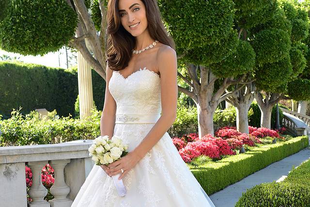 Venus Bridal Dresses