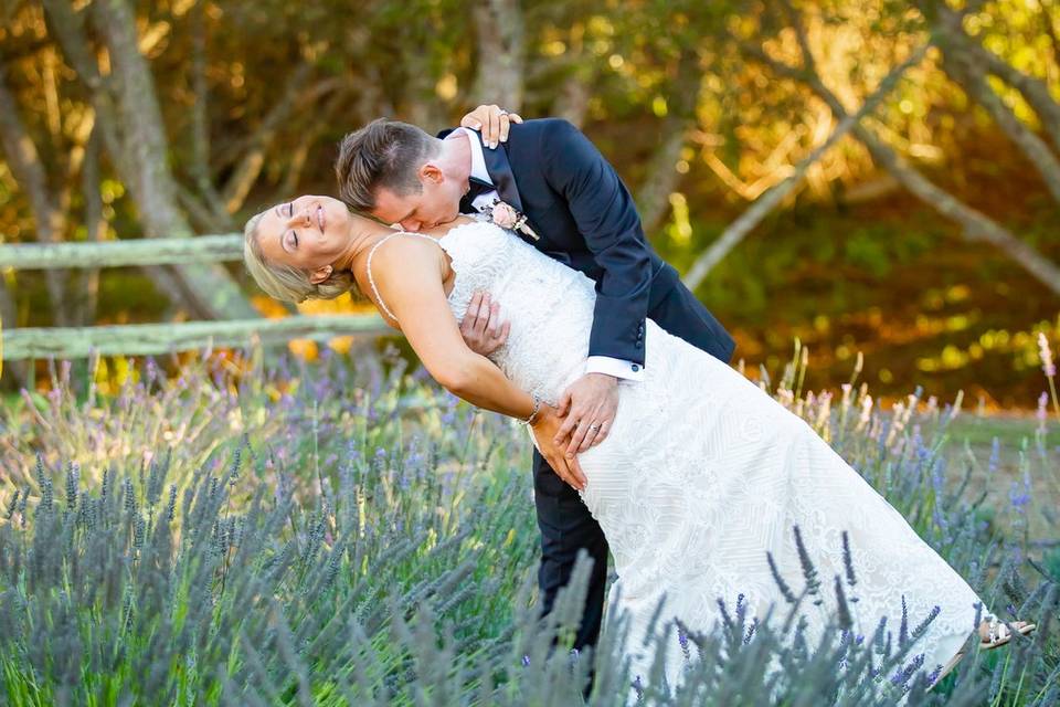 Lavender Field