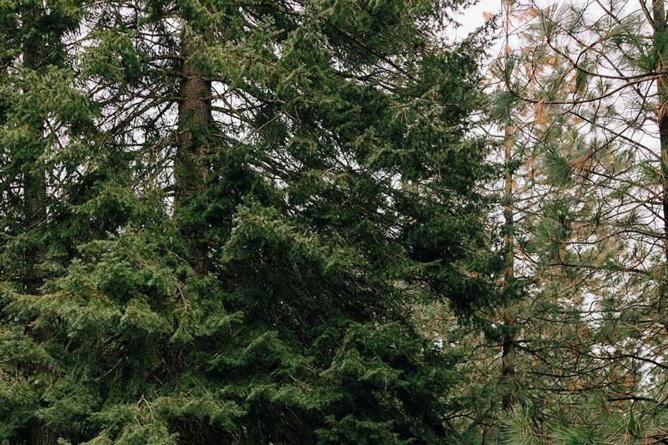 Nature-loving couple