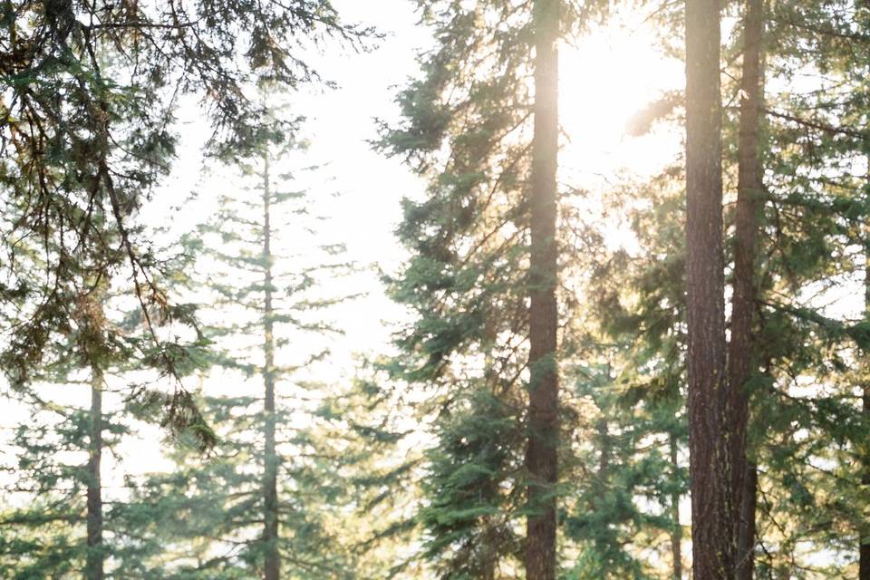 Nature-loving couple