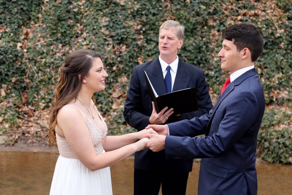 Wedding in a park