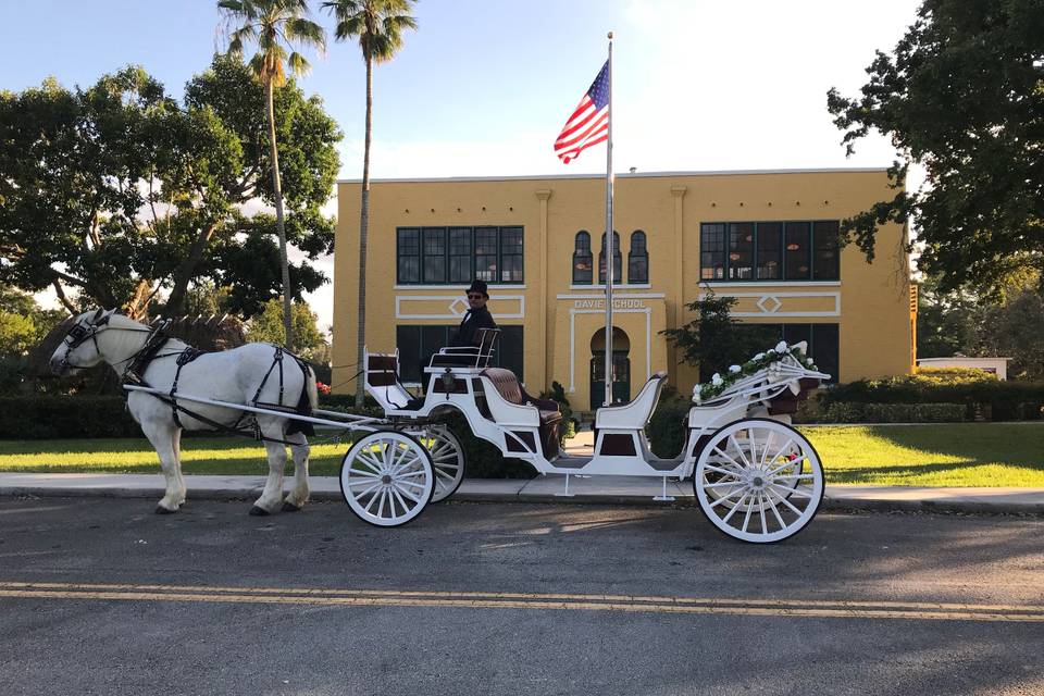 Horse and Carriage