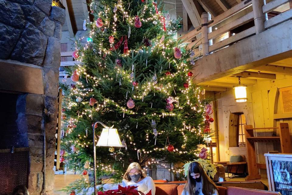 Timberline Lodge -Xmas Wedding