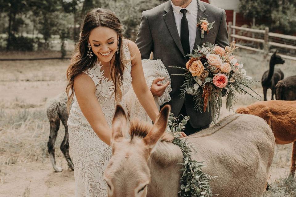 Bride and Groom with donkey