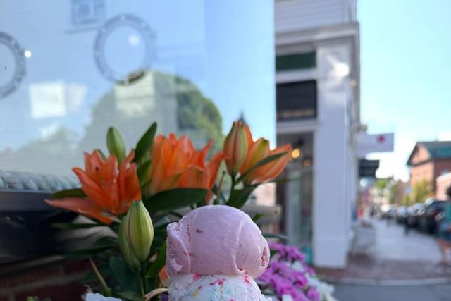 Harbor Creamery