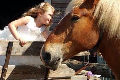 Country Dreams Farm