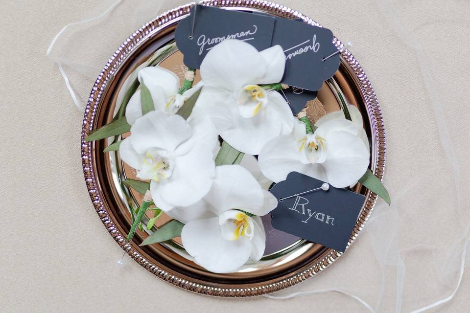 Phalaenopsis boutonnieres