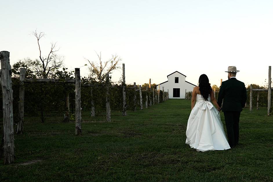 Wavelength Wedding Films