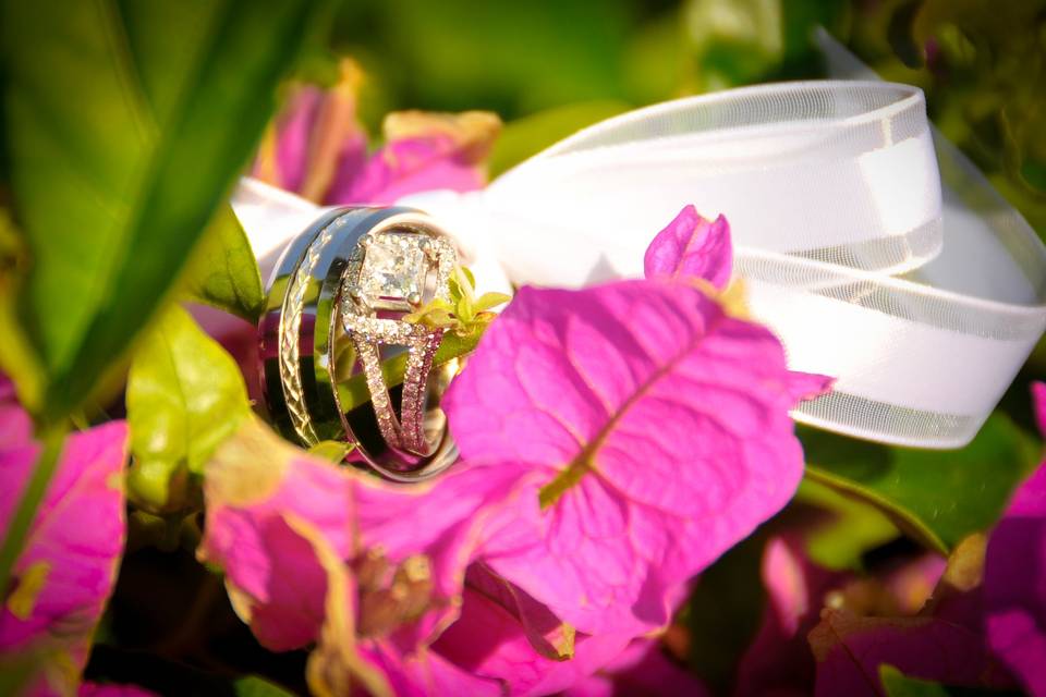 Rings & Flowers