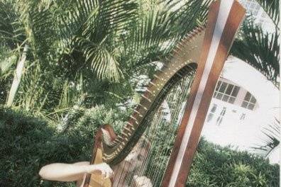 Professional Harpist Jessica Cardwell