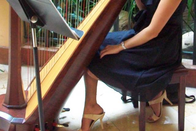 Professional Harpist Jessica Cardwell