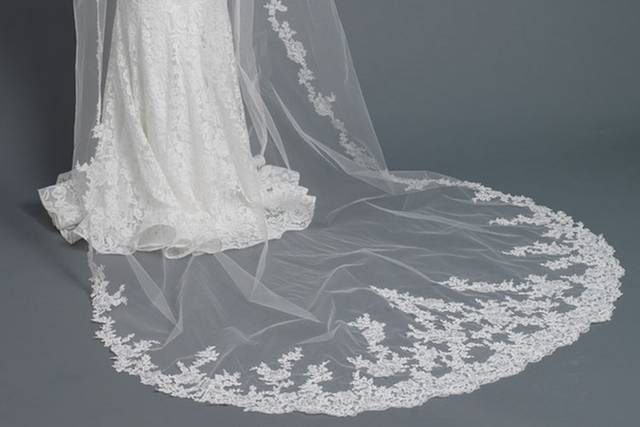 resized_single-layer-cathedral-length-accented-with-embroidery-lace-bridal-wedding-veil