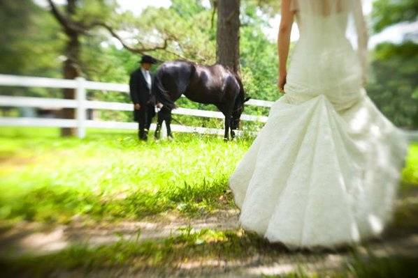 outdoor wedding, horses, farm,